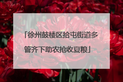 徐州鼓楼区拾屯街道多管齐下助农抢收夏粮