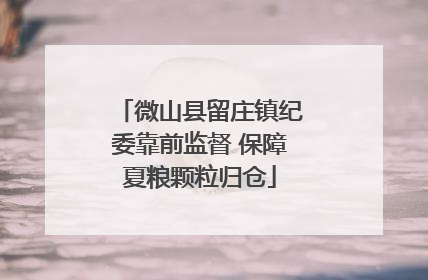 微山县留庄镇纪委靠前监督 保障夏粮颗粒归仓