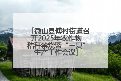 微山县傅村街道召开2025年农作物秸秆禁烧暨“三夏”生产工作会议