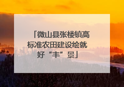 微山县张楼镇高标准农田建设绘就好“丰”景