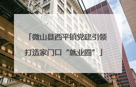 微山县西平镇党建引领打造家门口“就业圈”