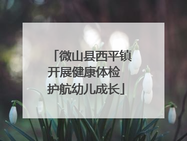 微山县西平镇开展健康体检 护航幼儿成长