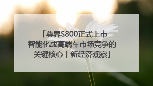 尊界S800正式上市 智能化成高端车市场竞争的关键核心丨新经济观察