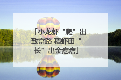 小龙虾“爬”出致富路 稻虾田“长”出金疙瘩