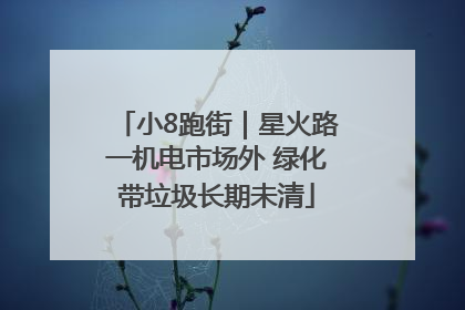 小8跑街｜星火路一机电市场外 绿化带垃圾长期未清