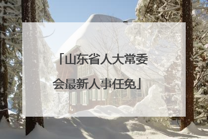 山东省人大常委会最新人事任免