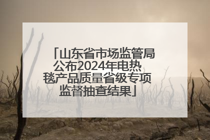 山东省市场监管局公布2024年电热毯产品质量省级专项监督抽查结果