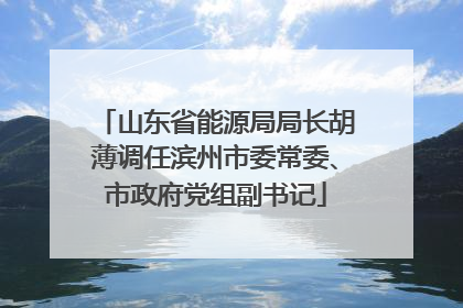 山东省能源局局长胡薄调任滨州市委常委、市政府党组副书记
