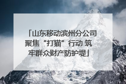 山东移动滨州分公司聚焦“打猫”行动 筑牢群众财产防护堤