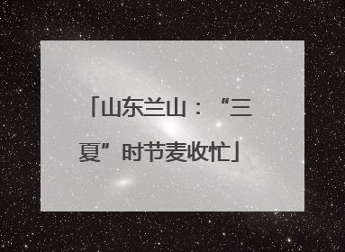 山东兰山：“三夏”时节麦收忙
