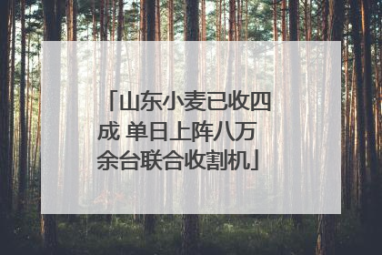 山东小麦已收四成 单日上阵八万余台联合收割机