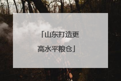 山东打造更高水平粮仓