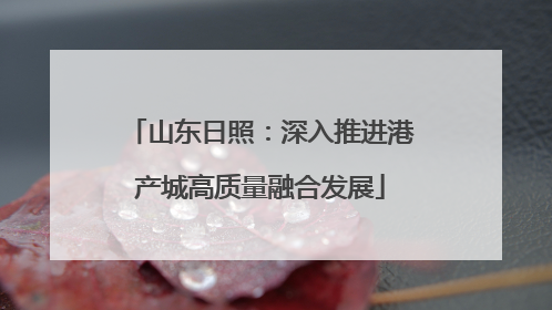 山东日照：深入推进港产城高质量融合发展