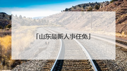 山东最新人事任免