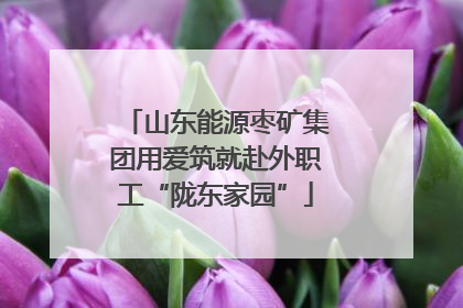 山东能源枣矿集团用爱筑就赴外职工“陇东家园”