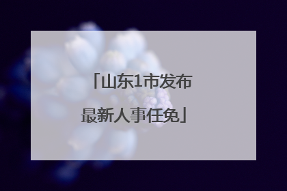 山东1市发布最新人事任免