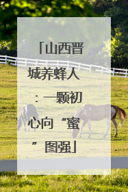 山西晋城养蜂人：一颗初心向“蜜”图强