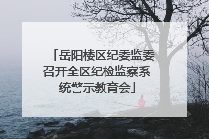 岳阳楼区纪委监委召开全区纪检监察系统警示教育会