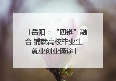 岳阳：“四链”融合 铺就高校毕业生就业创业通途
