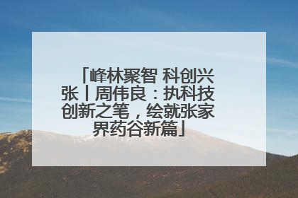 峰林聚智 科创兴张丨周伟良：执科技创新之笔，绘就张家界药谷新篇