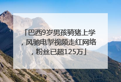 巴西9岁男孩骑猪上学，风驰电掣视频走红网络，粉丝已超125万