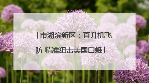 市湖滨新区：直升机飞防 精准狙击美国白蛾