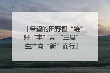 希望的田野智“绘”好“丰”景 “三夏”生产向“新”而行