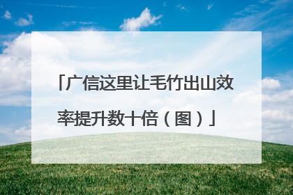 广信这里让毛竹出山效率提升数十倍（图）