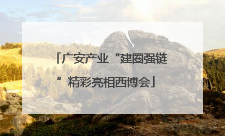 广安产业“建圈强链”精彩亮相西博会