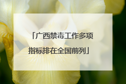 广西禁毒工作多项指标排在全国前列