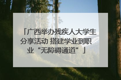 广西举办残疾人大学生分享活动 搭建学业到职业“无障碍通道”