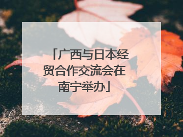 广西与日本经贸合作交流会在南宁举办