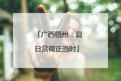广西梧州：夏日赏荷正当时