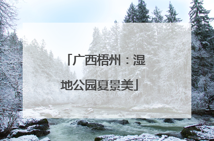 广西梧州：湿地公园夏景美
