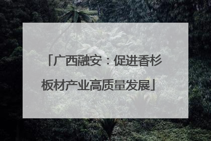 广西融安：促进香杉板材产业高质量发展
