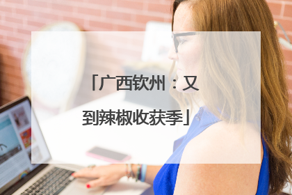 广西钦州：又到辣椒收获季