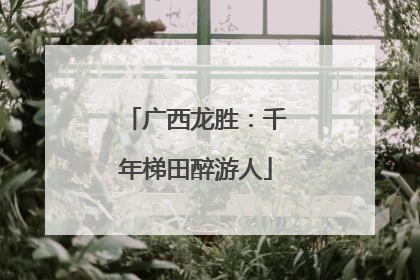 广西龙胜：千年梯田醉游人