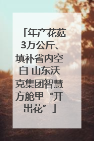 年产花菇3万公斤、填补省内空白 山东沃克集团智慧方舱里“开出花”