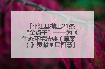 平江县抛出21条“金点子”——为《生态环境法典（草案）》贡献基层智慧