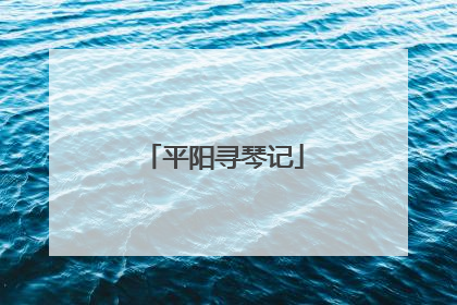 平阳寻琴记
