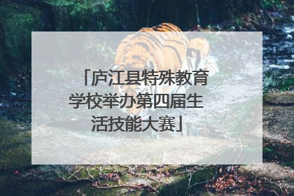 庐江县特殊教育学校举办第四届生活技能大赛