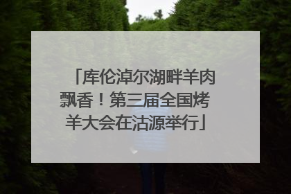 库伦淖尔湖畔羊肉飘香！第三届全国烤羊大会在沽源举行
