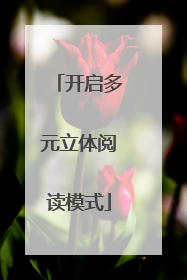 开启多元立体阅读模式