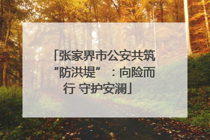 张家界市公安共筑“防洪堤”：向险而行 守护安澜