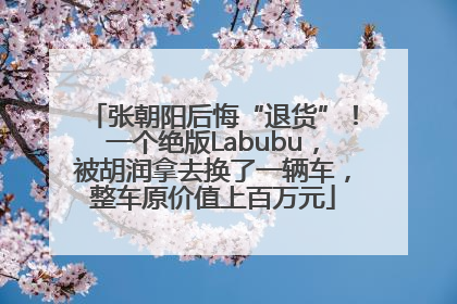 张朝阳后悔“退货”！一个绝版Labubu，被胡润拿去换了一辆车，整车原价值上百万元