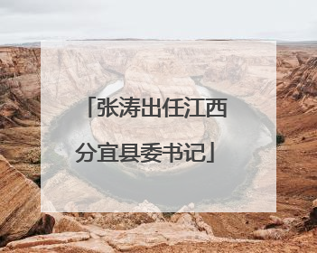 张涛出任江西分宜县委书记