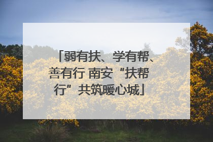 弱有扶、学有帮、善有行 南安“扶帮行”共筑暖心城