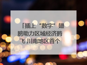 插上“数字”翅膀助力区域经济腾飞 川南地区首个智算中心启动