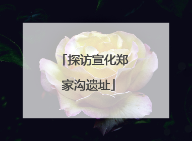 探访宣化郑家沟遗址