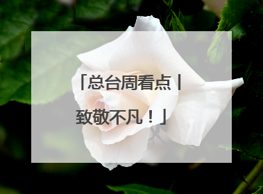 总台周看点丨致敬不凡！